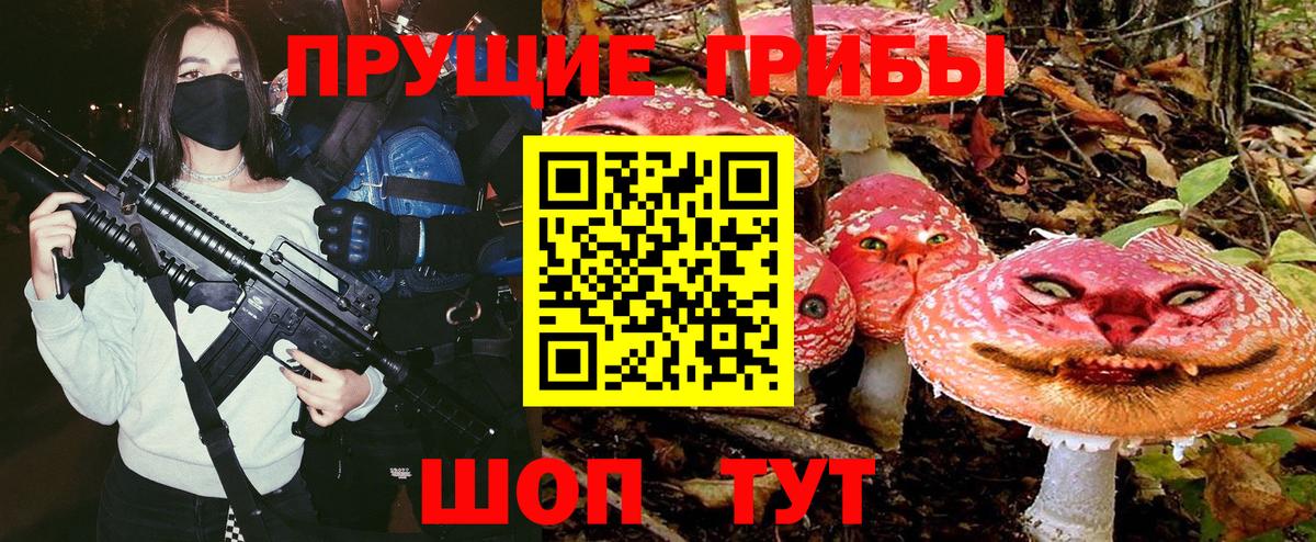 Галлюциногенные грибы Psilocybe Изобильный
