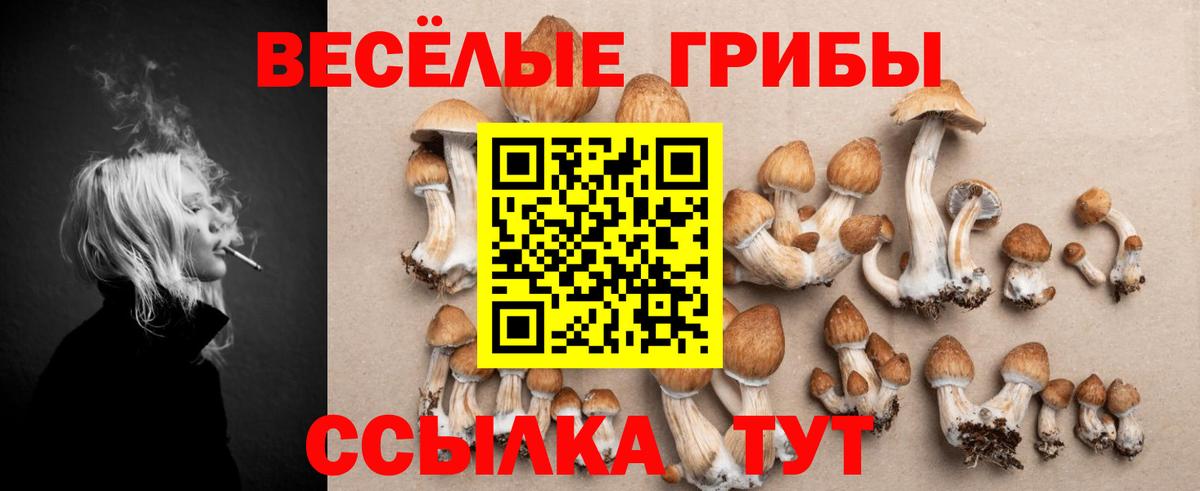 Изобильный  Псилоцибиновые грибы Magic Shrooms  Вход с VPN  Галлюциногенные грибы ЛСД 